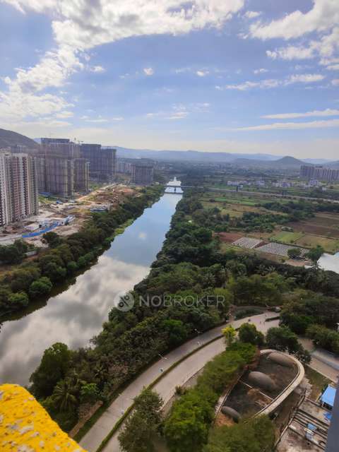 2 BHK Flat In Paranjape Blue Ridge for Rent  In Hinjewadi