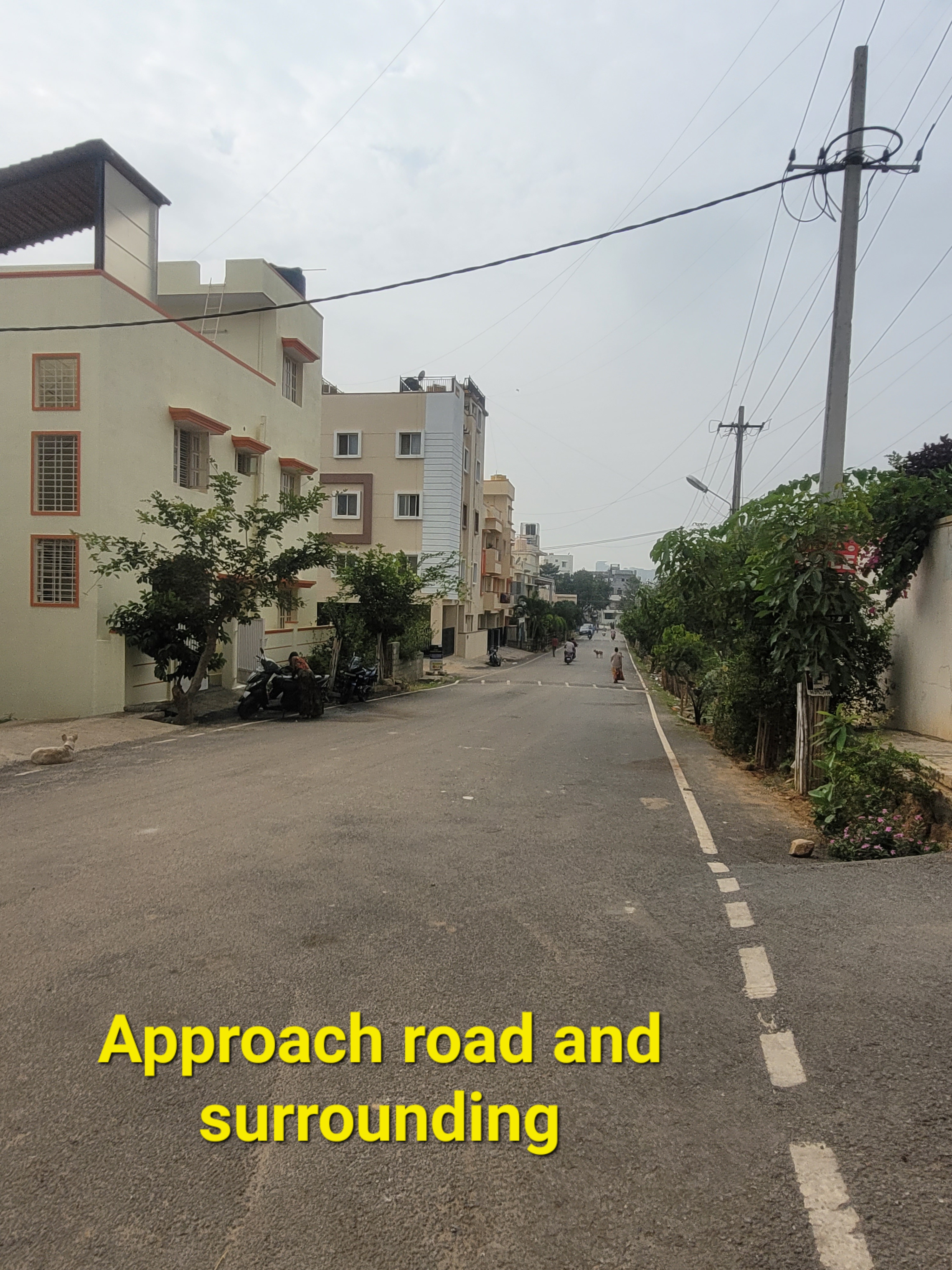 Radiant Silver Bell 2