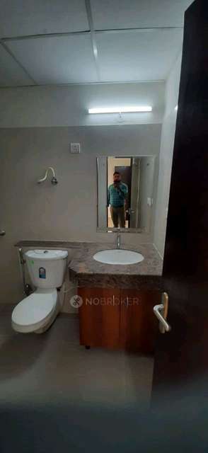 3 BHK Flat In Awho Shanti Vihar For Sale  In Sector 95