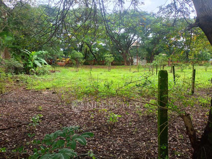 Plot For Sale  In Balsam Bhimashankar Hills In Balsam Developers Pvt. Ltd.