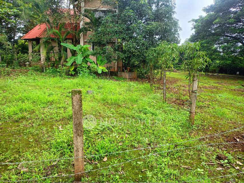 Plot For Sale  In Balsam Bhimashankar Hills In Balsam Developers Pvt. Ltd.