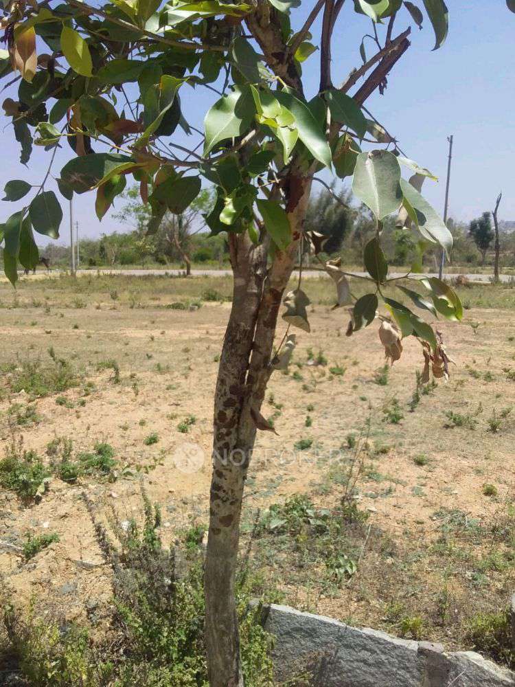 Plot For Sale  In Kns Infrastructure In Kns Infrastructure Private Limited