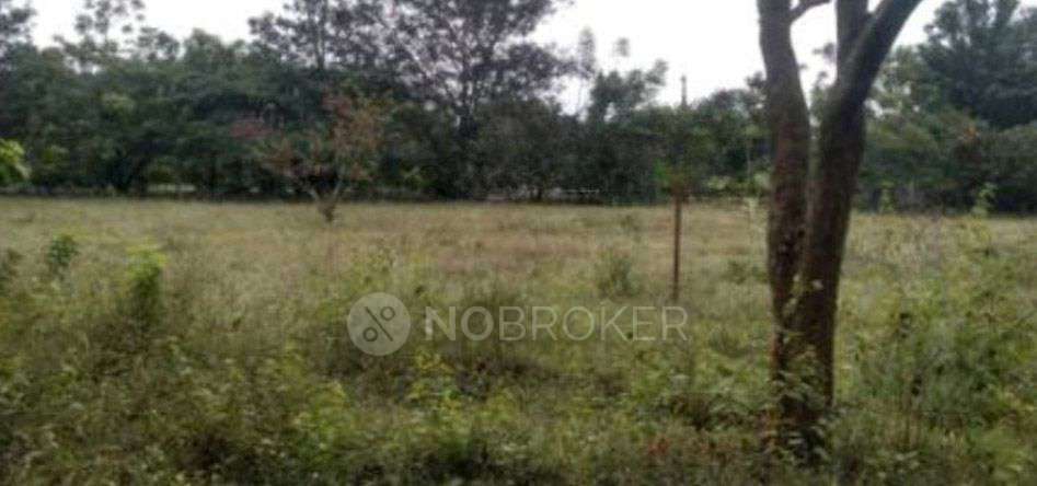 Plot For Sale  In Asha Greenrich