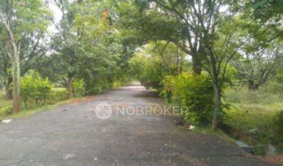 Plot For Sale  In Asha Greenrich