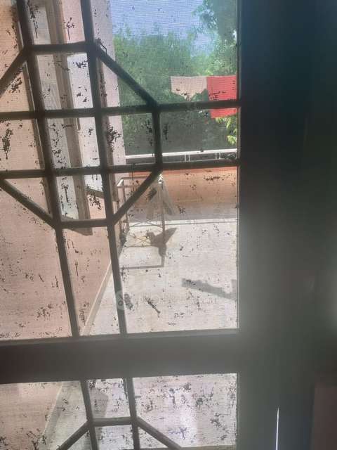 PG for Girls in Alpha I