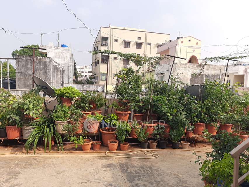 4+ BHK House For Sale  In Nallakunta