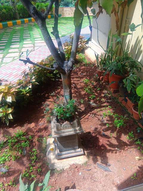 2 BHK Flat In Atlantis Liberty Square Apartment For Sale  In Subramanyapura