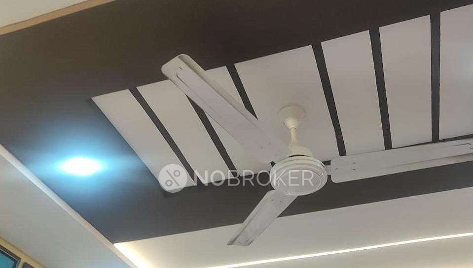 2 BHK Flat In Nyati Elan West Iii for Rent  In Nyati Elan West Iii Road