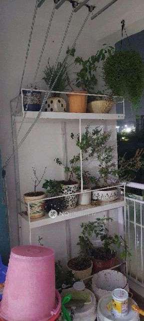 2 BHK Flat In Megapolis Splendour For Sale  In Hinjawadi