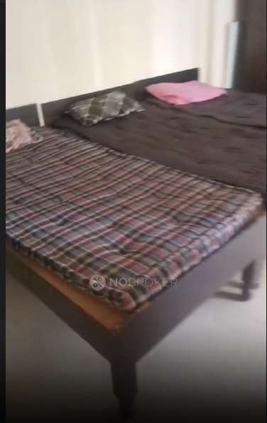 PG for Girls in Sector 142