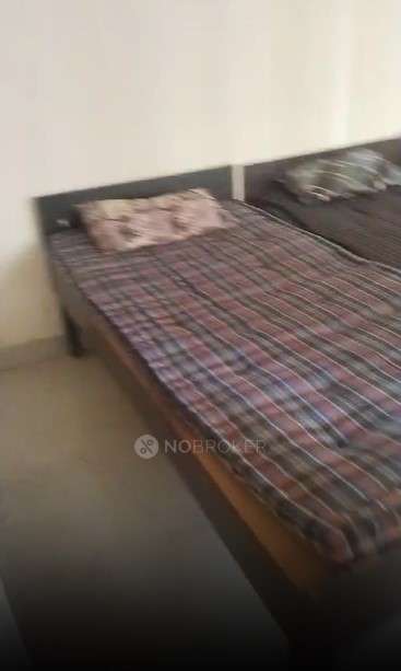 PG for Girls in Sector 142