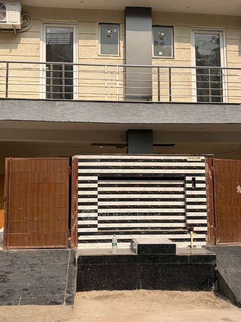 PG for Anyone in Community Center Sector 22b