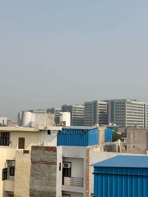 PG for Anyone in Community Center Sector 22b