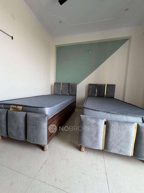 PG for Anyone in Community Center Sector 22b