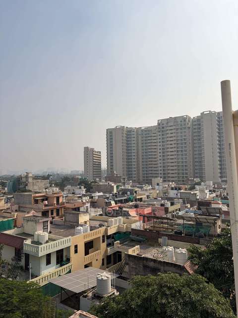 PG for Anyone in Community Center Sector 22b