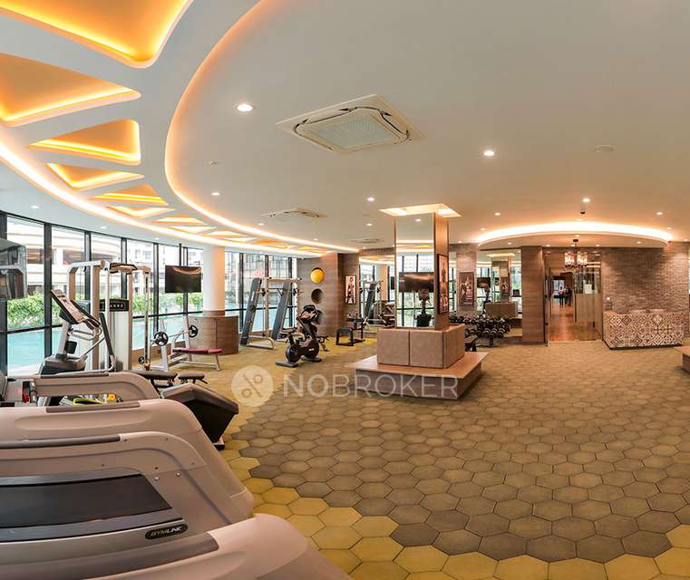 1 BHK Flat In Jp North Alexa For Sale  In Mira Road