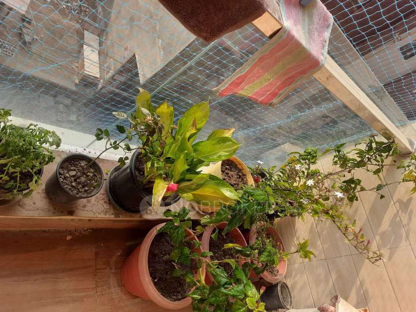 3 BHK Flat In Dwarka Dish Apartment For Sale  In  Uttam Nagar