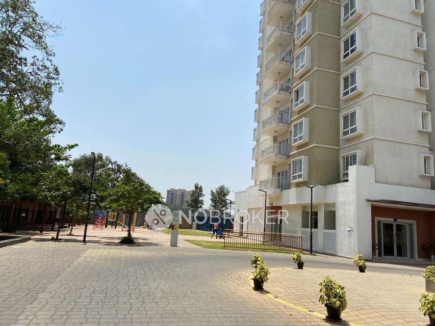 2 BHK Flat In Rmz Galleria Residences For Sale  In Yelahanka