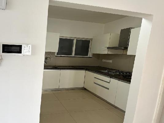 2 BHK Flat In Marvel Ideal Spacio for Rent In Undri