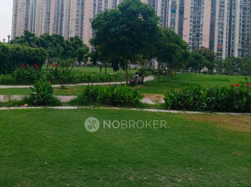 3 BHK Flat In Jaypee Aman For Sale  In Sector 151