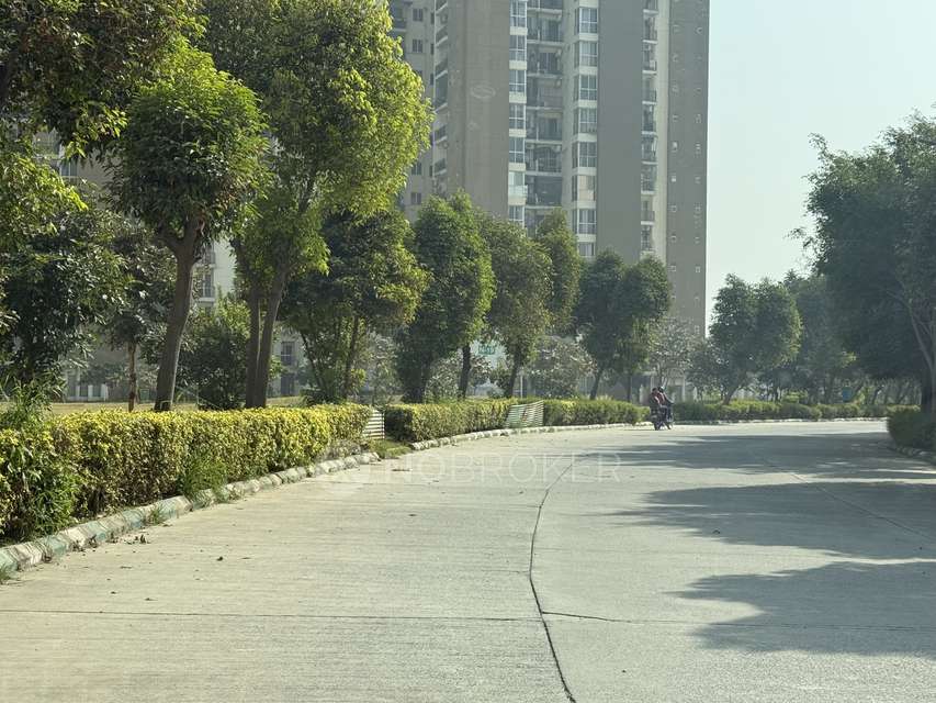 3 BHK Flat In Jaypee Aman For Sale  In Sector 151