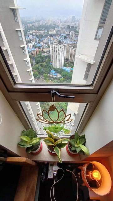 2 BHK Flat In Kalpataru Paramount C For Sale  In Kapurbawdi