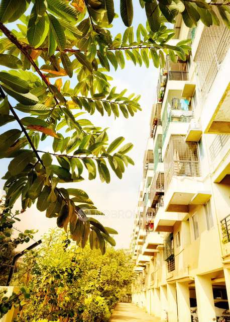 2 BHK Flat In Shakthi Fairmont For Sale  In Krishnarajapura 