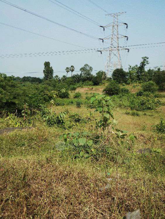 Plot For Sale  In Neral