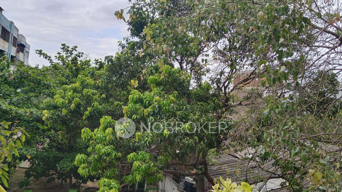 3 BHK Flat In Brindavan Apartments For Sale  In Tondiarpet