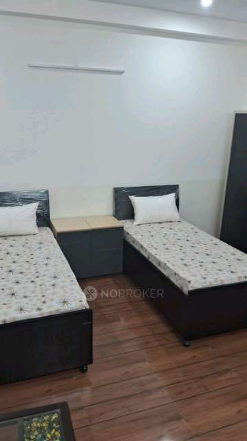 PG for Boys in Sector 28