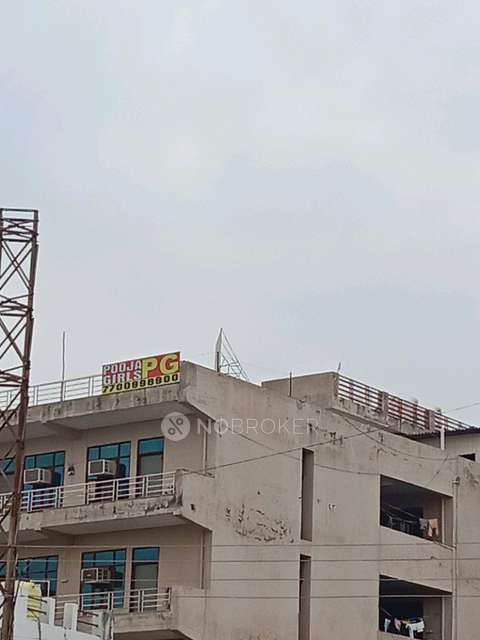 PG for Boys in Sector 33