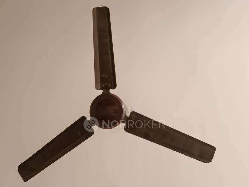 4+ BHK Flat For Sale  In Shalimar Bagh