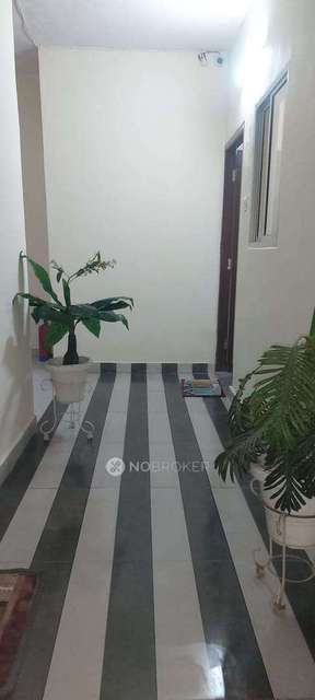 PG for Boys in Sector 58