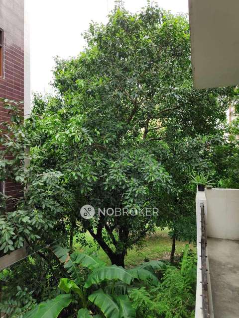 4 BHK House For Sale  In Mayur Vihar Phase Iii