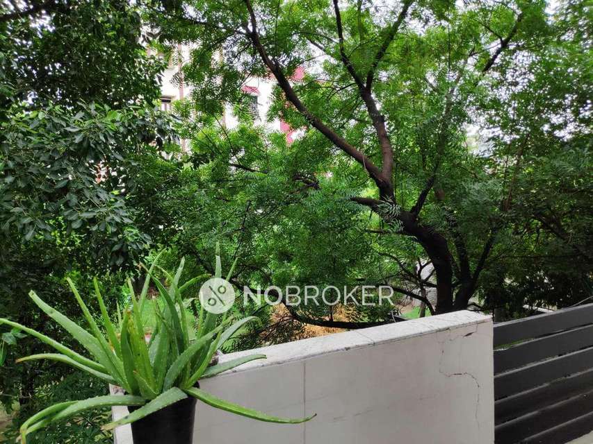 4 BHK House For Sale  In Mayur Vihar Phase Iii
