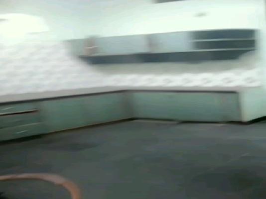 4+ BHK House For Sale  In Jaya Nagar