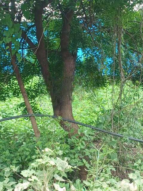 Godown/Warehouse in Wakad, Pune for Rent 