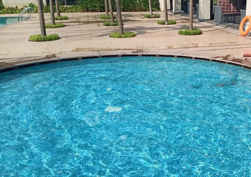 1 BHK Flat In  Orchid Residency For Sale  In Dombivli