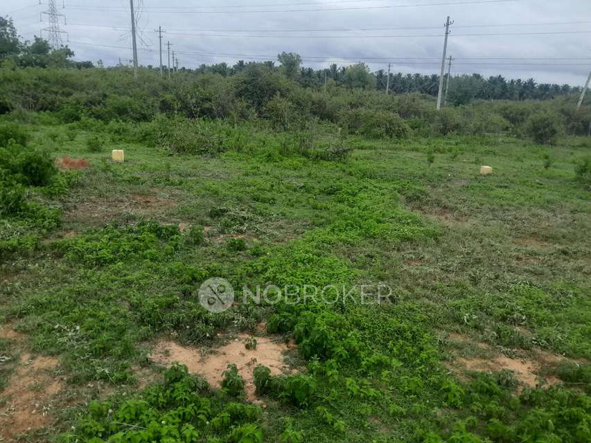 Plot For Sale  In Khb Layout Gulur Tumkur District In Upparhalli