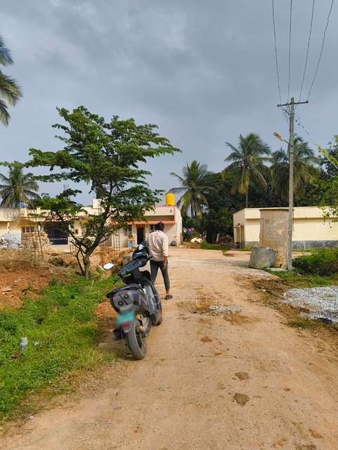 Plot For Sale  In Nagarur Colony