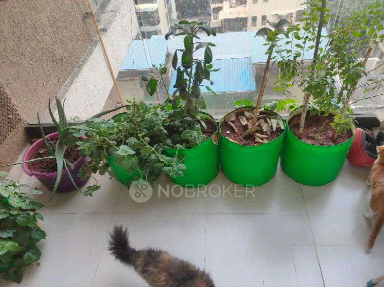 2 BHK Flat In Akshar Alvario,  For Sale  In Seawoods East