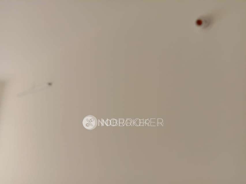 3 BHK Flat In Tata Value Homes New Haven For Sale  In Kanva Garden City