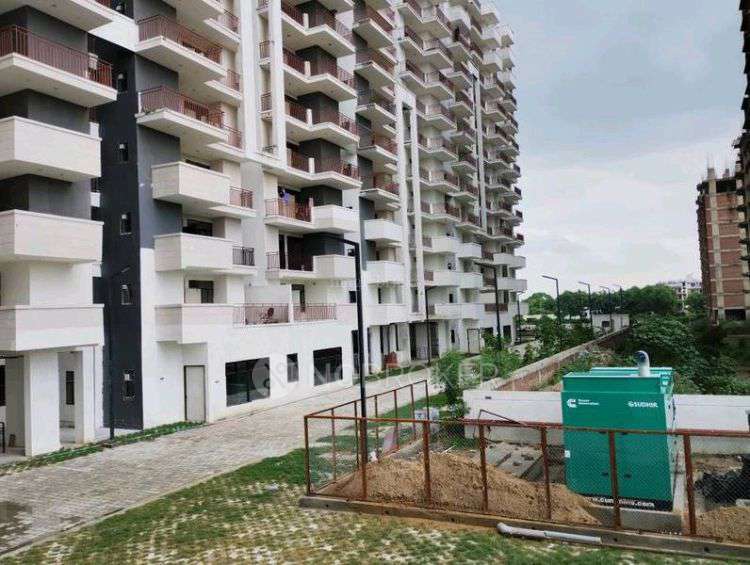 1 BHK Flat In Amolik Sankalp for Rent  In Sector 85