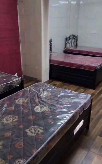 PG for Boys in Powai