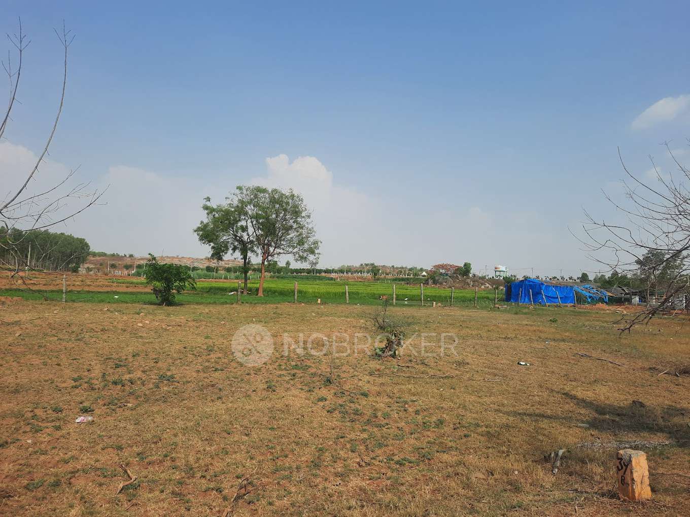 Plot For Sale  In Space Vision Shadnagar In Shadnagar