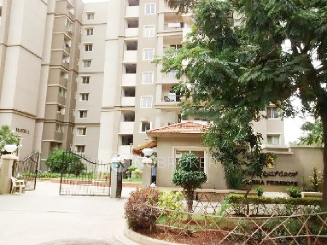 Sobha Primrose Apartments Bellandur Rent WITHOUT BROKERAGE Semi