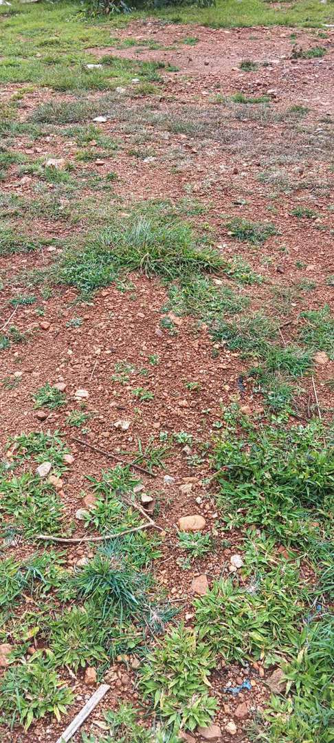 Plot For Sale  In Tippenahalli