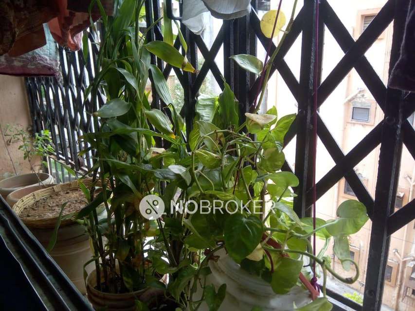 1 BHK Flat In Shri Balbhim Chs For Sale  In Badlapur