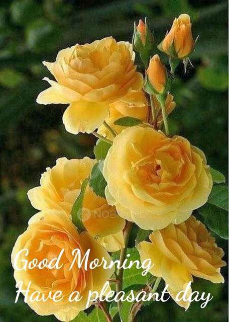 2 BHK Flat In Sri Shailaja Arcade Apartments For Sale  In Moosarambagh