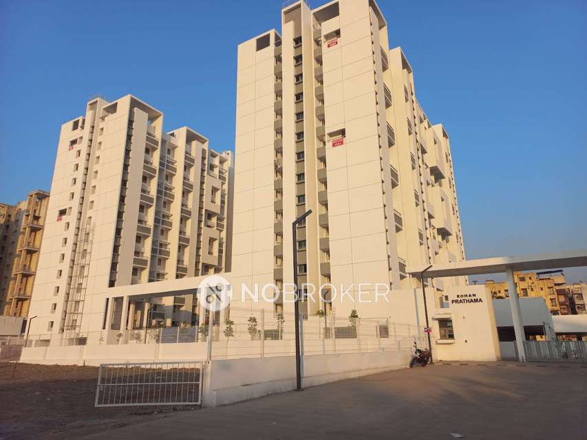 1 BHK Flat In Rohan Prathama Hinjewadi for Rent  In Rohan Prathama